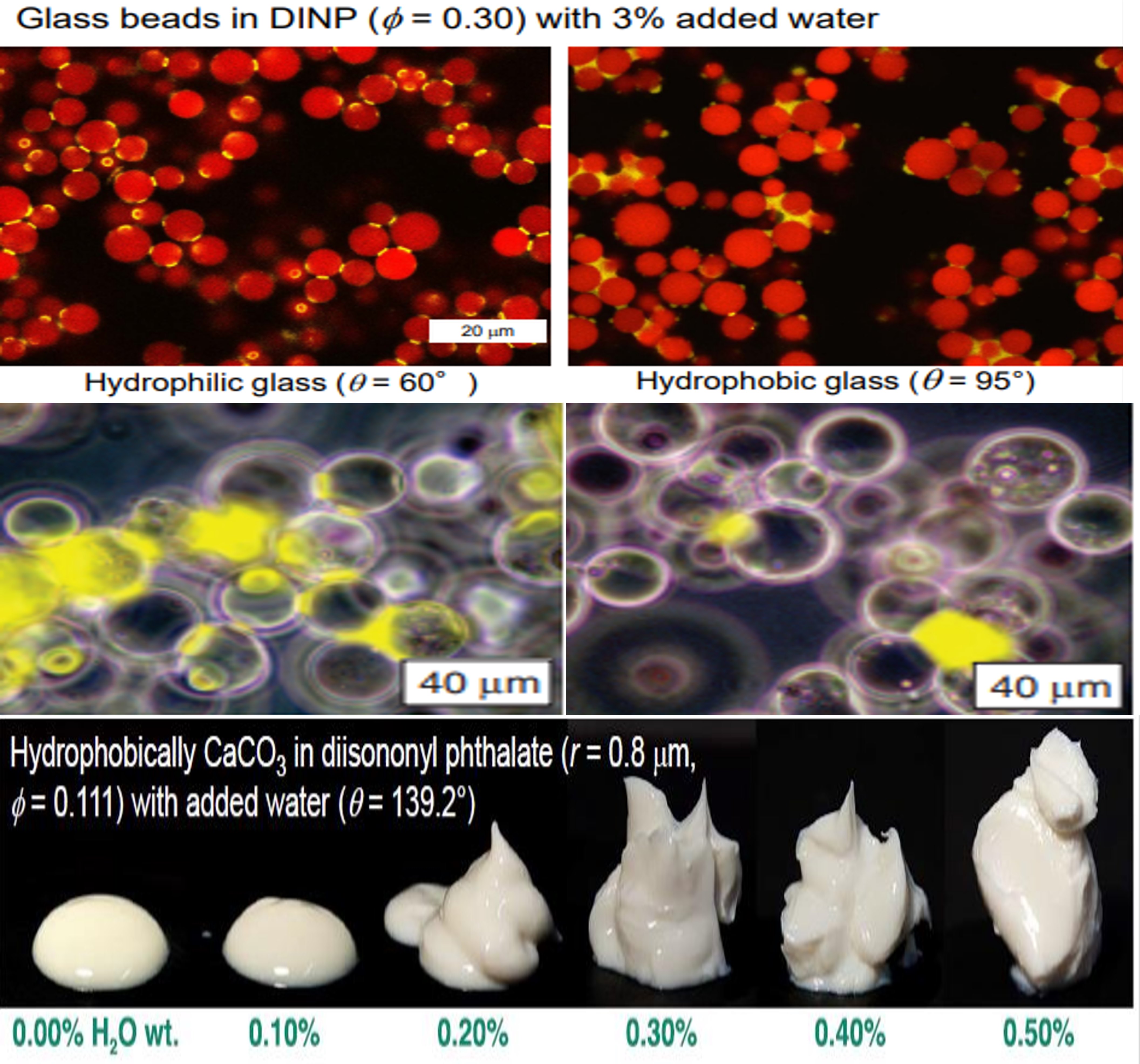 365Ӣ������(����)���޹�˾-Official website